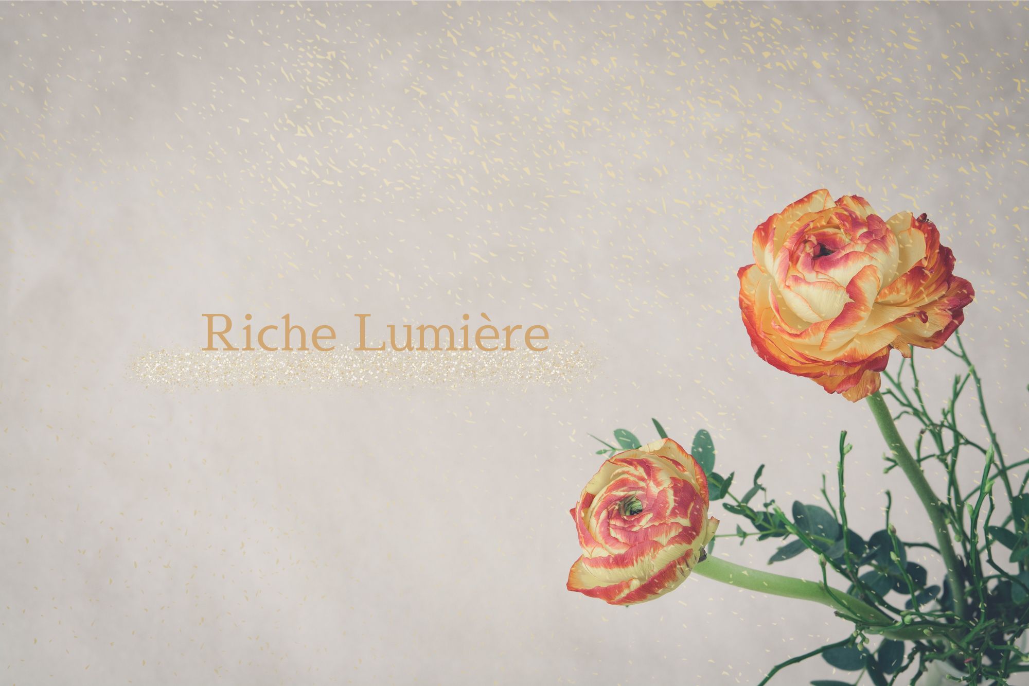 Riche-Lumiere